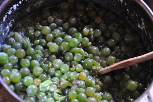 Macerated grapes